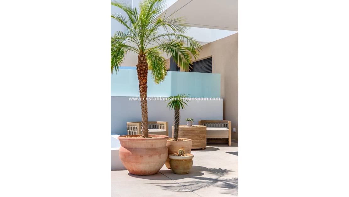 Nouvelle construction - Townhouse - Dolores - Sector 3