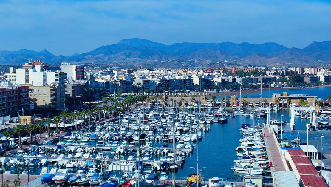 Nouvelle construction - Townhouse - Fuente Álamo - La Pinilla