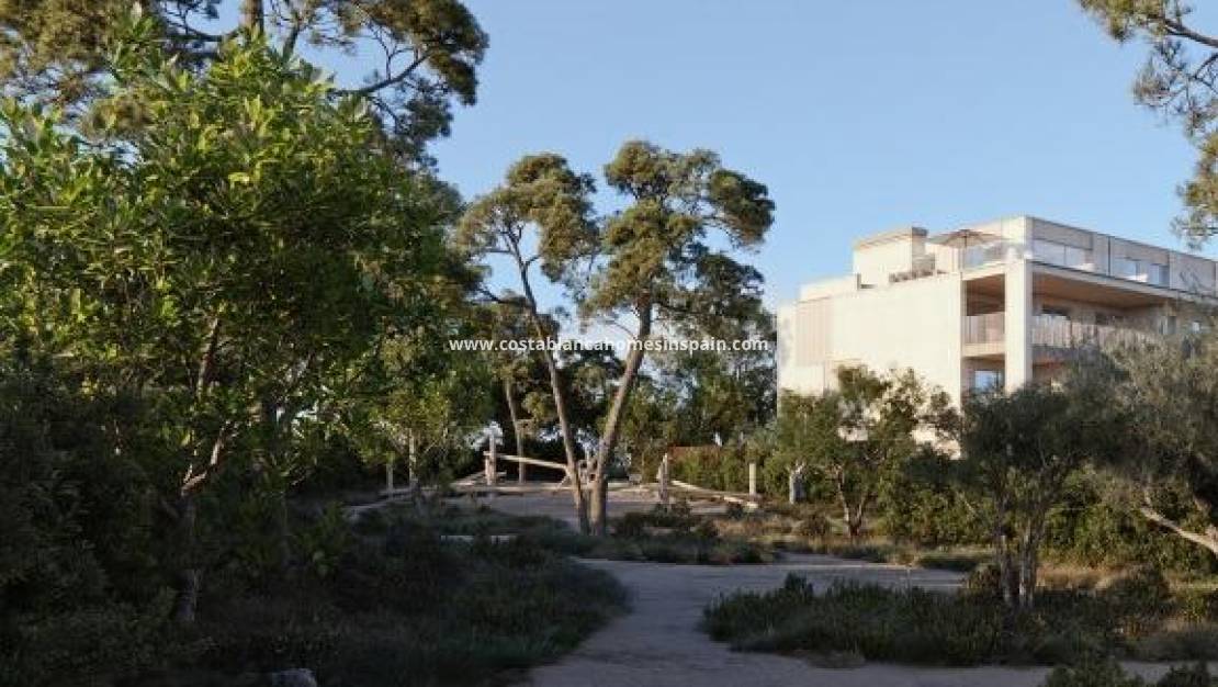 Nouvelle construction - Townhouse - Godella - Campolivar