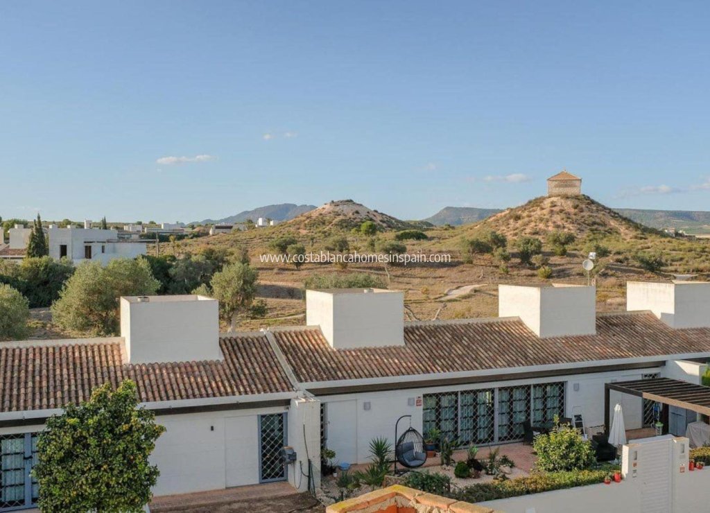Nouvelle construction - Townhouse - Peraleja Golf