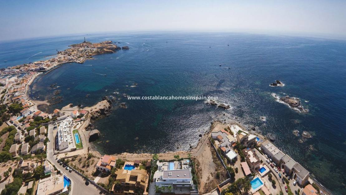 Nouvelle construction - Villa - Cabo de Palos - Cala medina