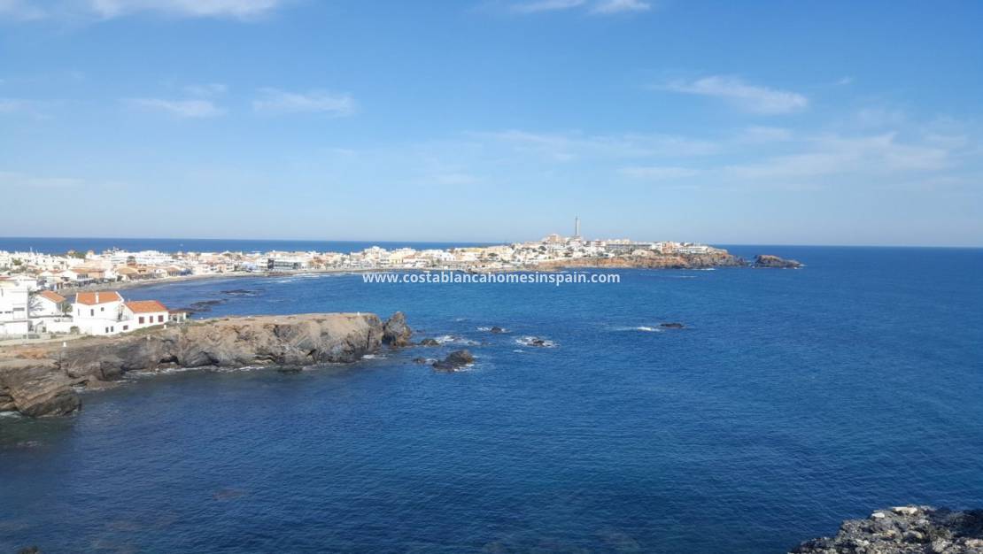 Nouvelle construction - Villa - Cabo de Palos - Cala medina