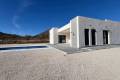 Nouvelle construction - Villa - Jumilla - Torre del Rico