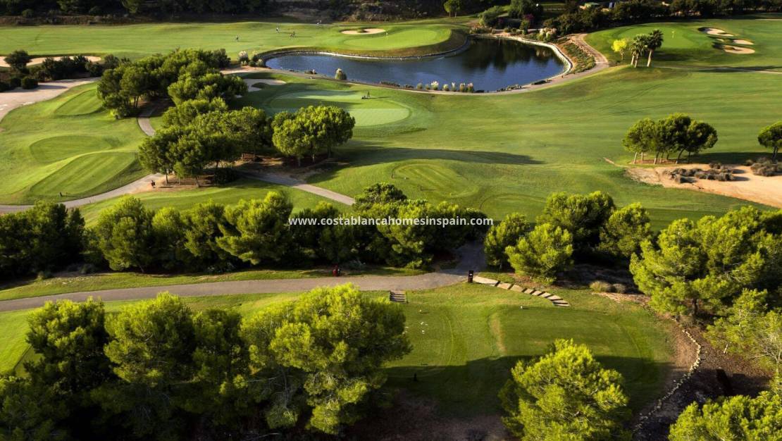 Nouvelle construction - Villa - Pilar de la Horadada - Lo Romero Golf