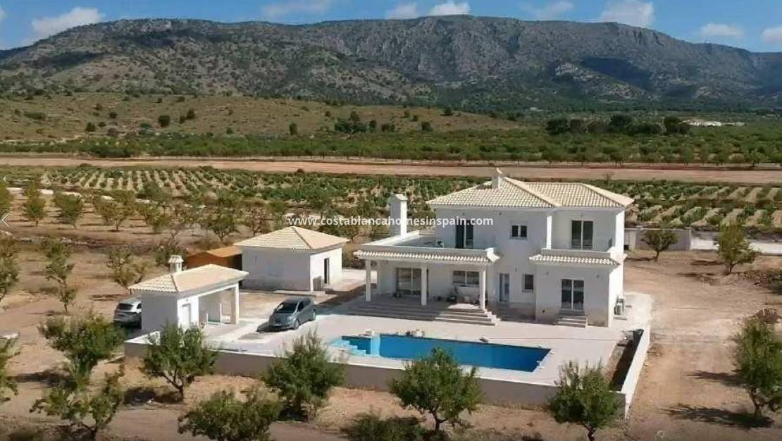 Nouvelle construction - villa - Pinoso - Camino Del Prado