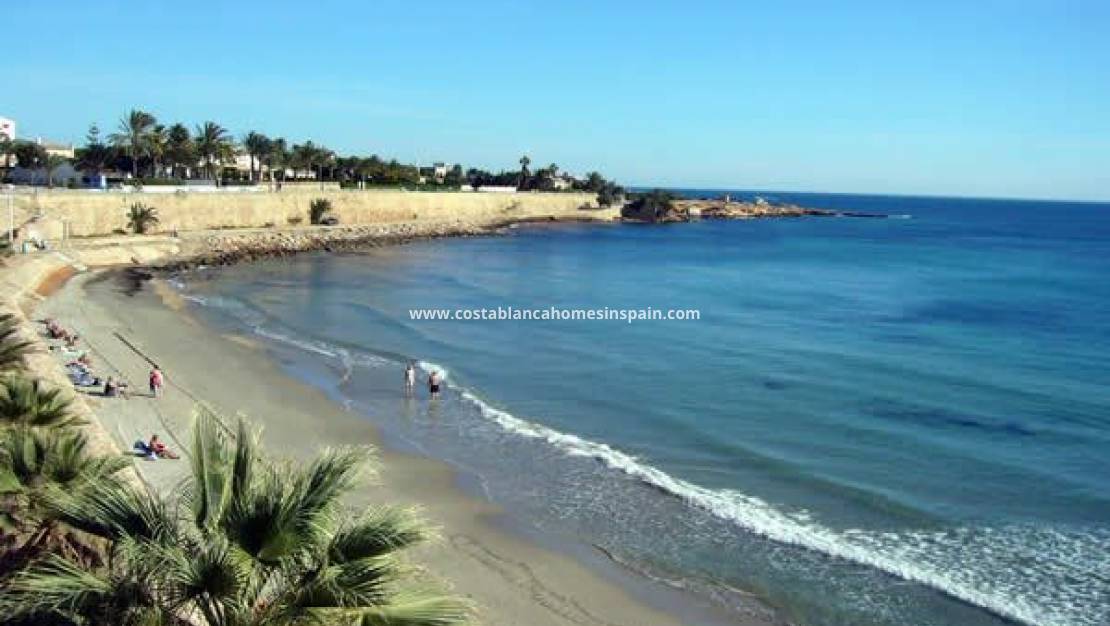 Nouvelle construction - Villa - San Miguel de Salinas - BLUE LAGOON