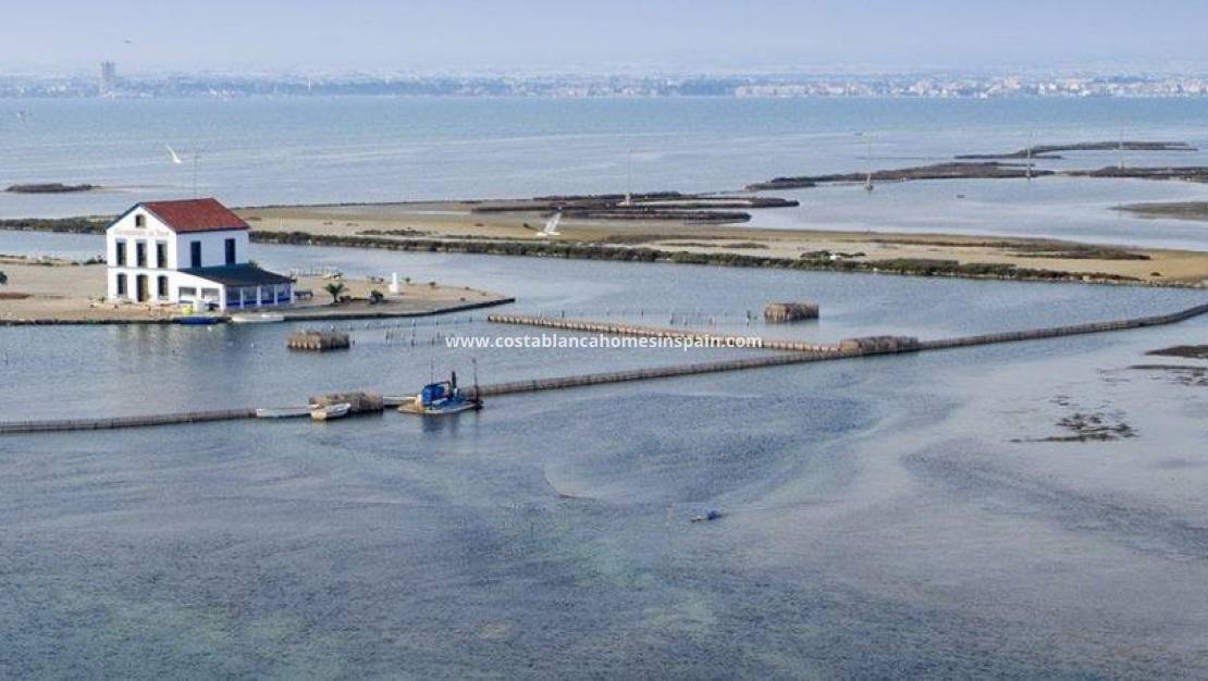 Nouvelle construction - villa - San Pedro del Pinatar - Las esperanzas