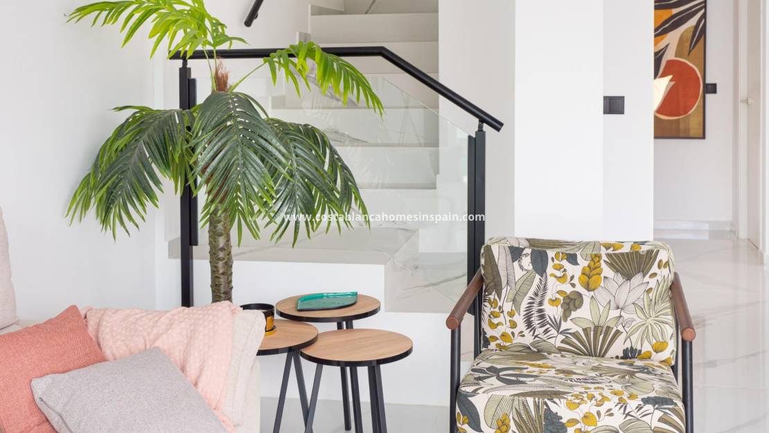 Nouvelle construction - villa - San Pedro del Pinatar