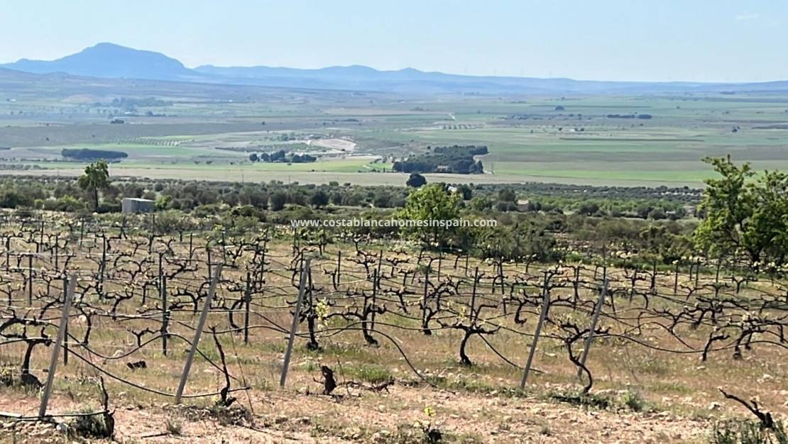 Nouvelle construction -  - Yecla