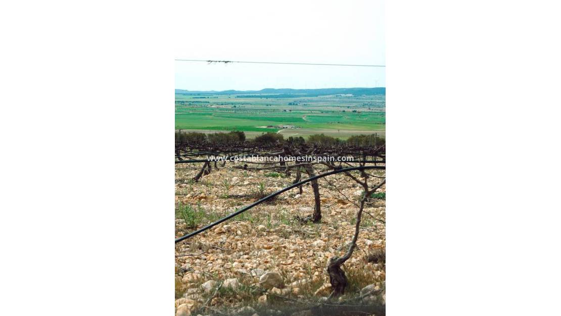 Nouvelle construction -  - Yecla