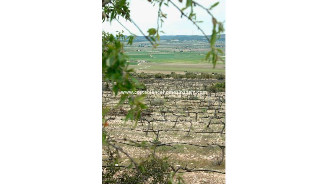 Nouvelle construction -  - Yecla