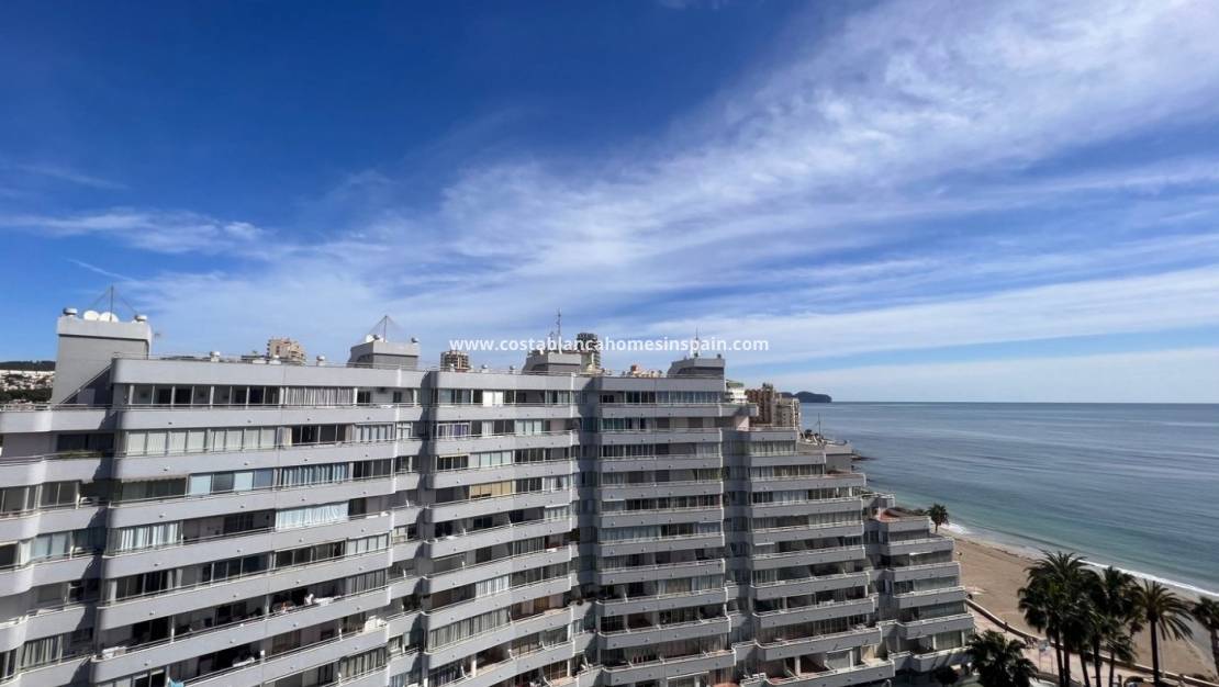 Nybygg - Apartment - Calpe - Playa La Fossa