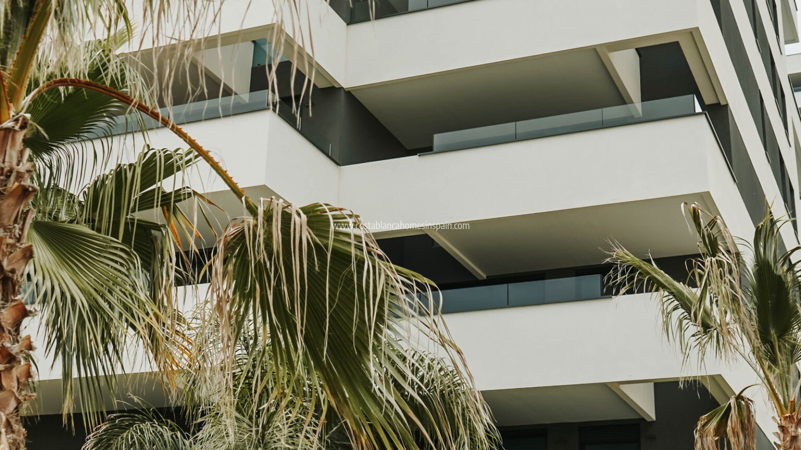 Nybygg - Apartment - Calpe