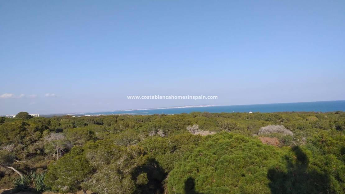 Nybygg - Apartment - Guardamar del Segura - Pueblo