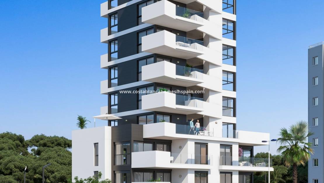 Nybygg - Apartment - Guardamar del Segura - Puerto Deportivo