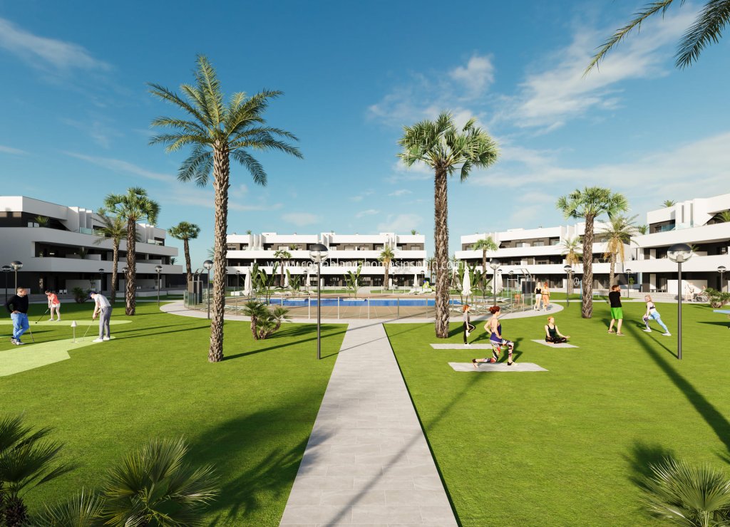 Nybygg - Apartment - Guardamar del Segura