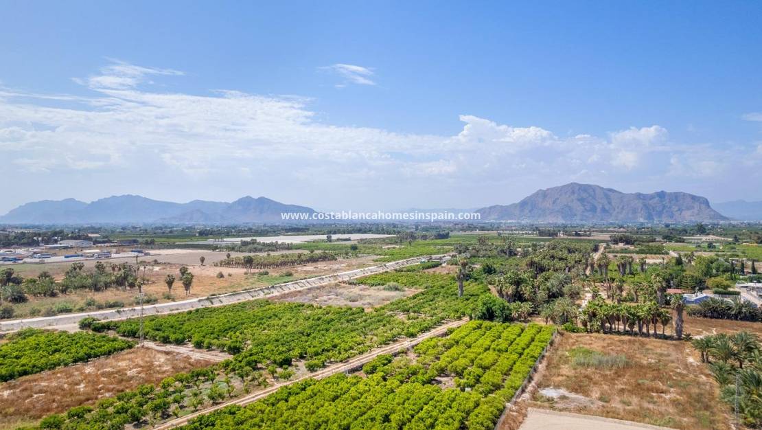 Nybygg - Apartment - Jacarilla - pueblo