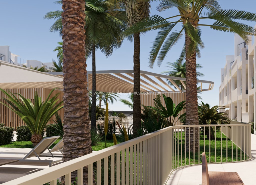 Nybygg - Apartment - San Cayetano