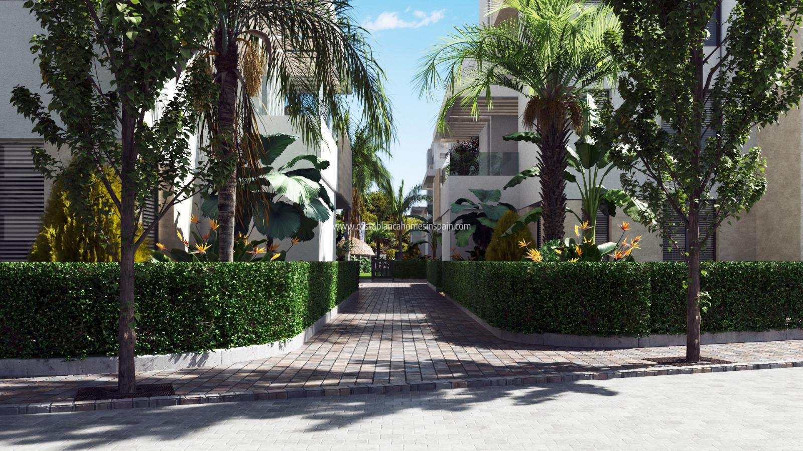 Nybygg - Apartment - Santa Rosalia