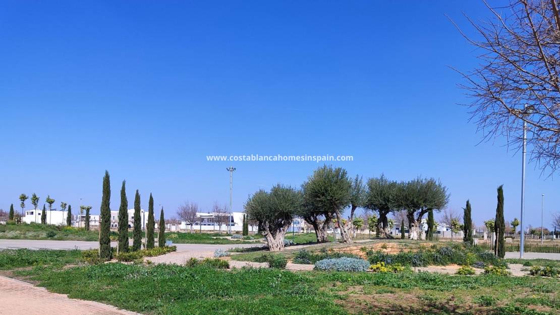 Nybygg - Apartment - Torre Pacheco - Centro