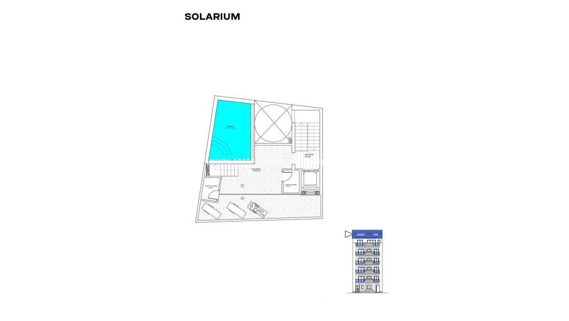 Nybygg - Apartment - Torrevieja - Playa de los Locos