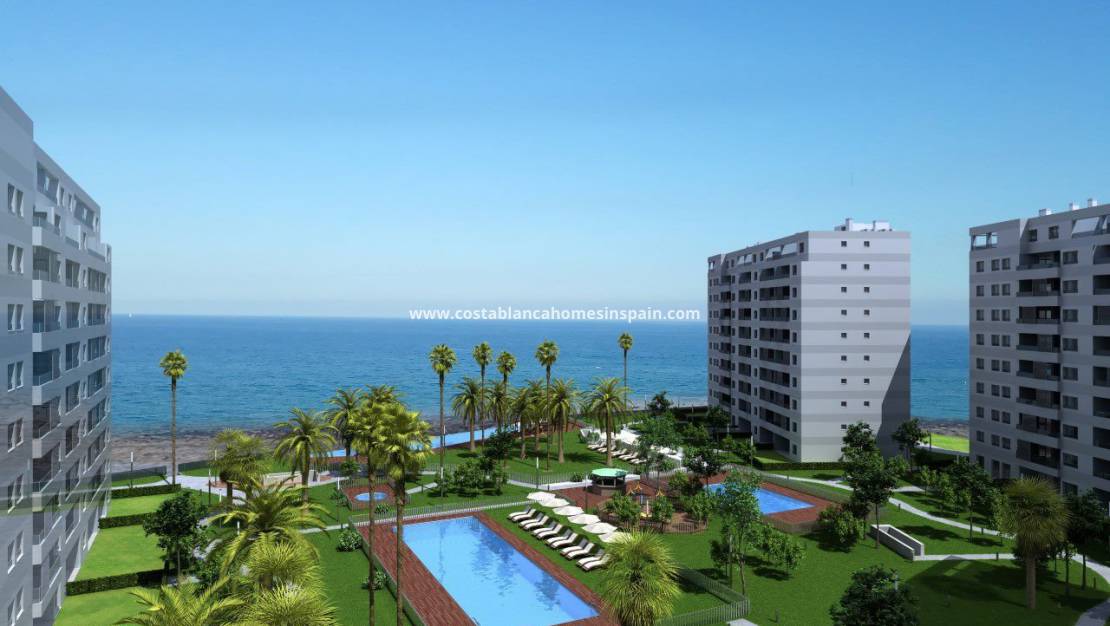 Nybygg - Apartment - Torrevieja - Punta Prima