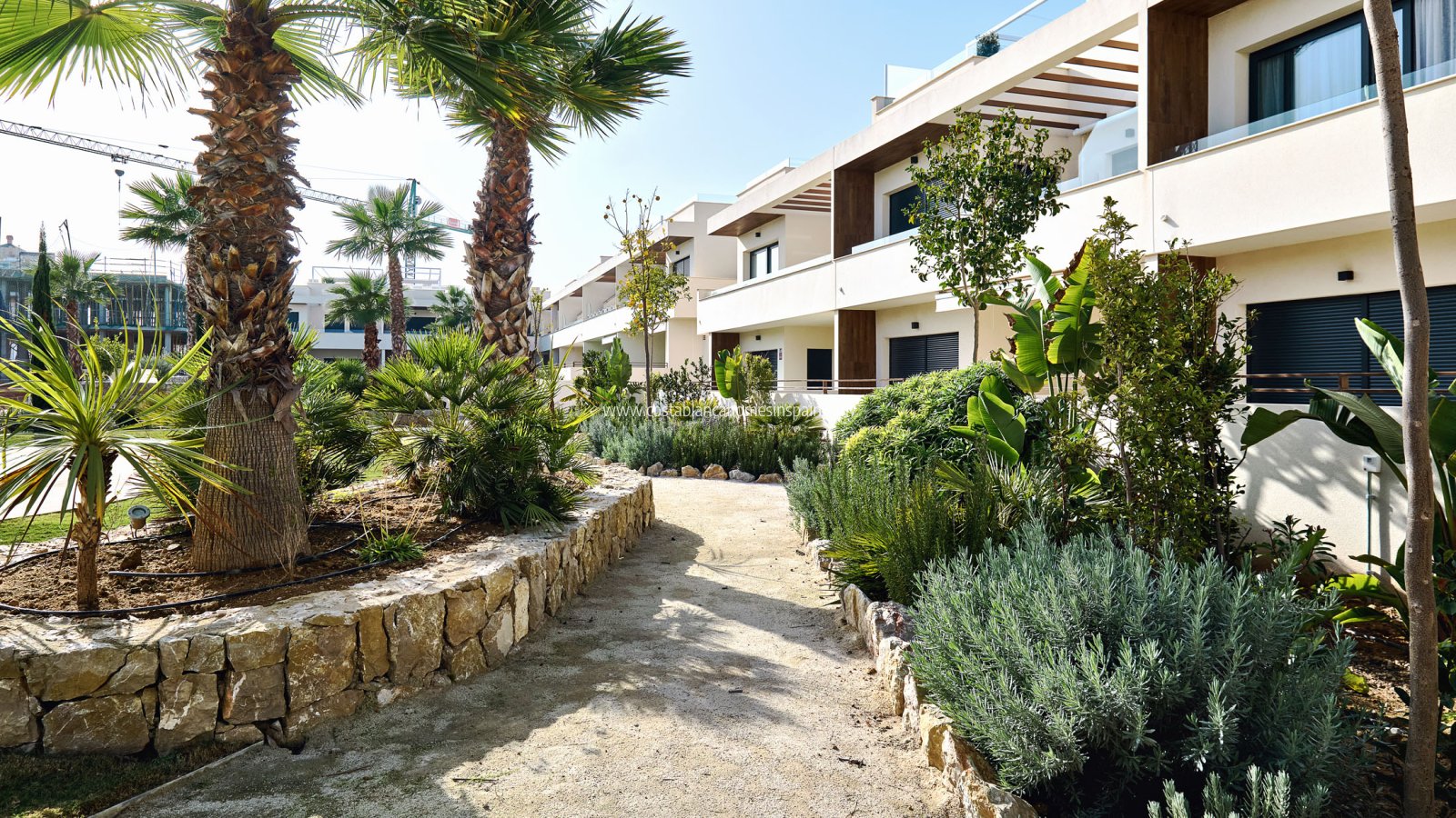 Nybygg - Apartment - Torrevieja