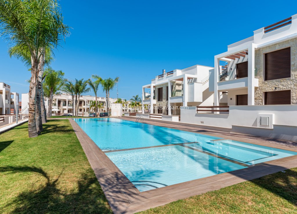 Nybygg - Apartment - Torrevieja