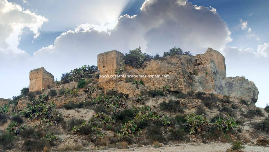 Nybygg -  - Aspe - Centro