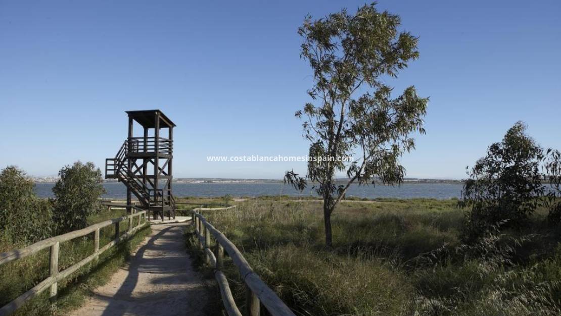 Nybygg - Bungalow - Torrevieja - Aguas Nuevas