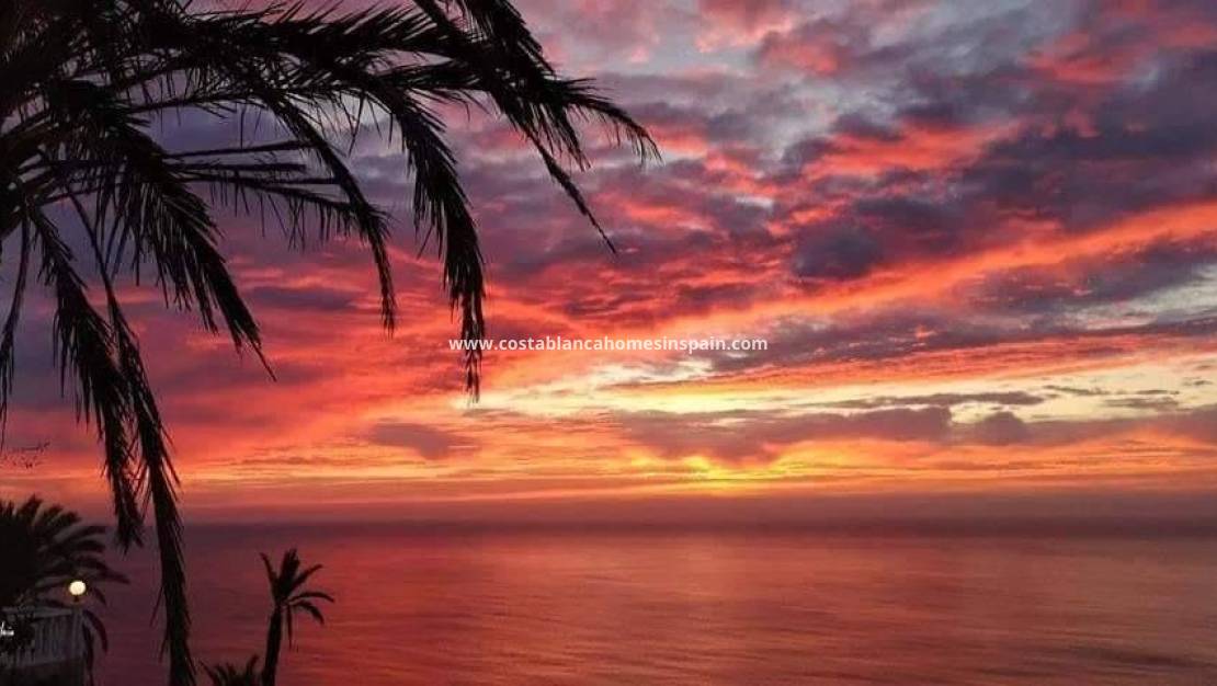 Nybygg - Bungalow - Torrevieja - Altos del Sol