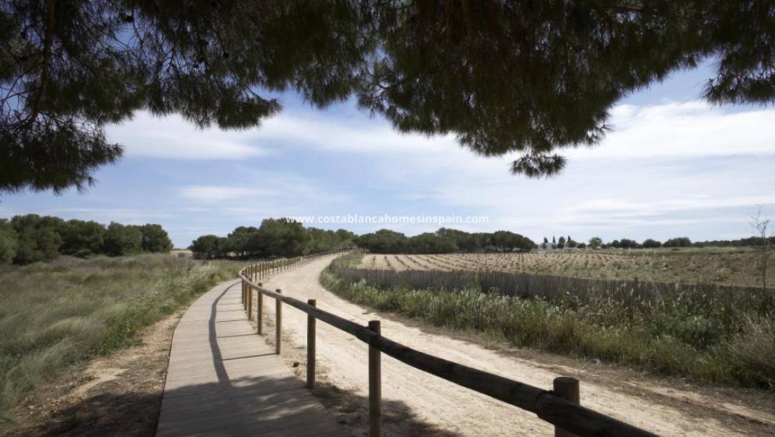 Nybygg - Bungalow - Torrevieja - Torrejón