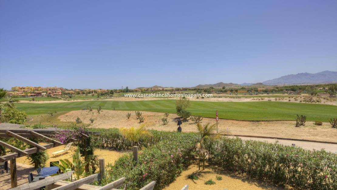 Nybygg -  - Cuevas del Almanzora - Desert Springs Golf Club