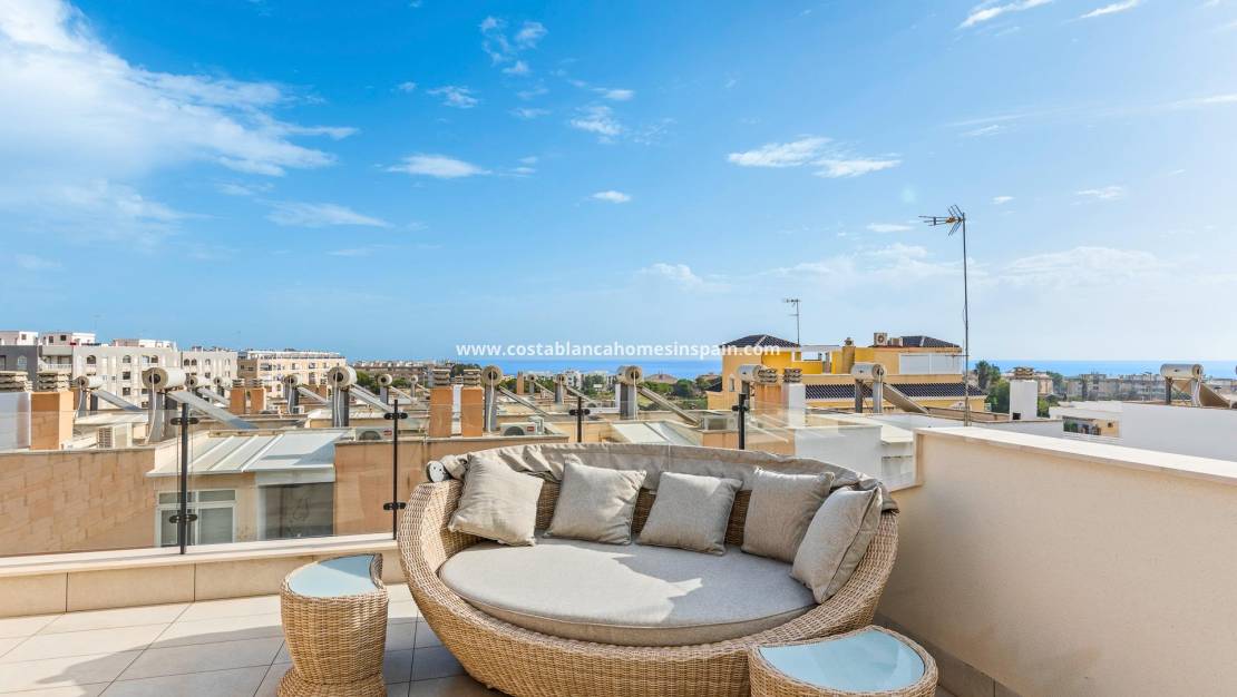 Nybygg -  - Guardamar del Segura - Els secans