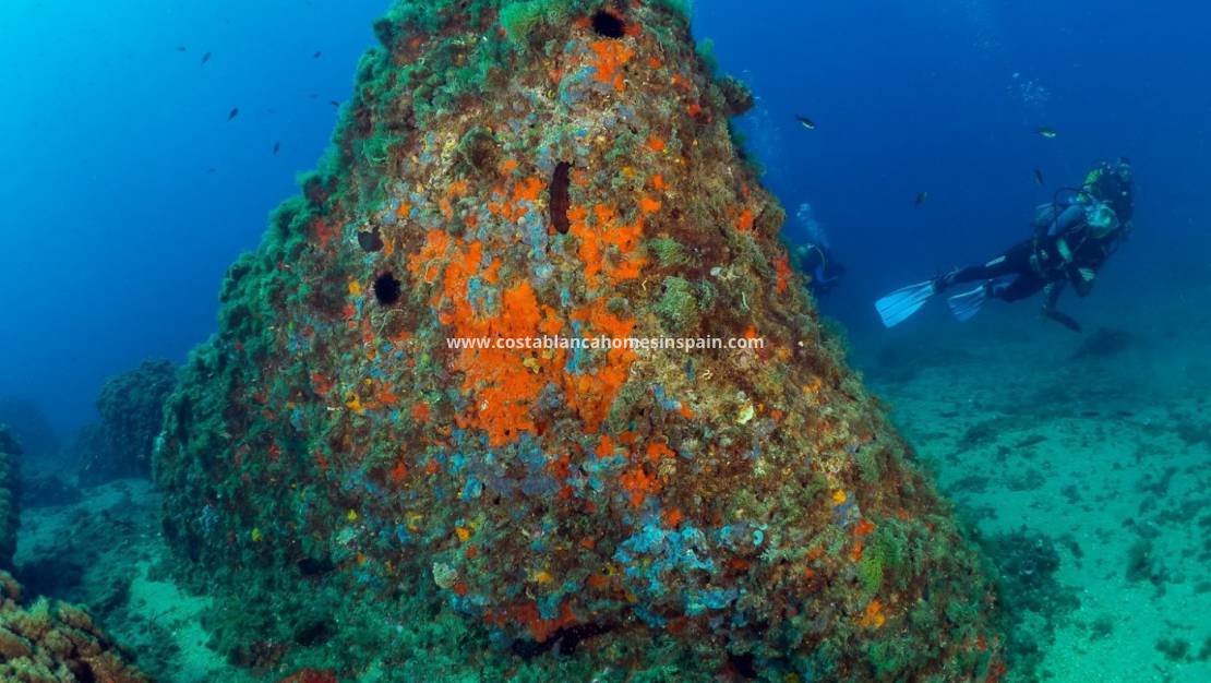 Nybygg - Other - Águilas - Isla del fraile