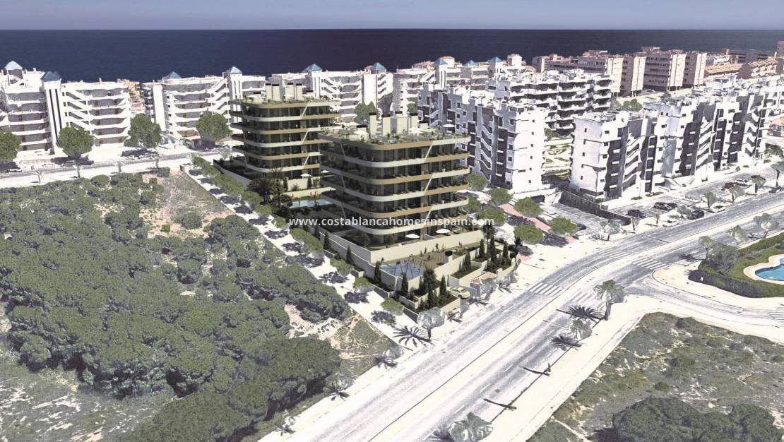 Nybygg - Penthouse - Arenales del sol - Arenales del Sol