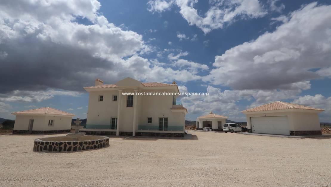 Nybygg -  - Pinoso - Camino Del Prado