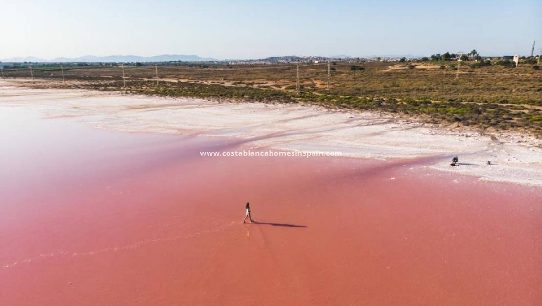 Nybygg -  - Torrevieja - Aguas Nuevas