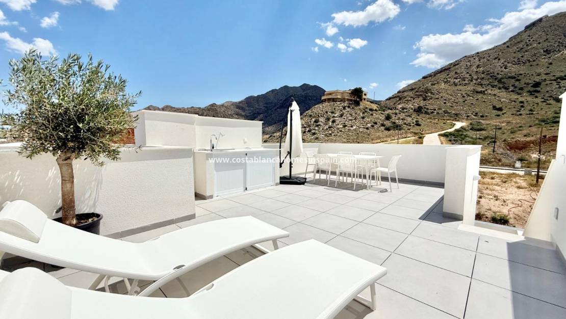 Nybygg - Townhouse - Cox - San Fernando