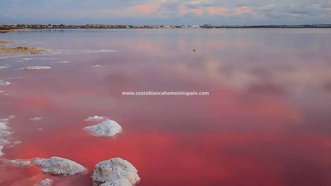 Nybygg - Villa - Torrevieja - Lago jardin