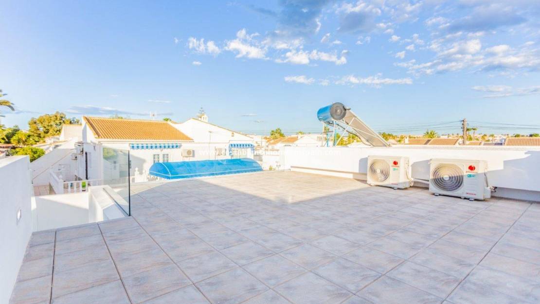 Nybygg - Villa - Torrevieja - Torreta florida