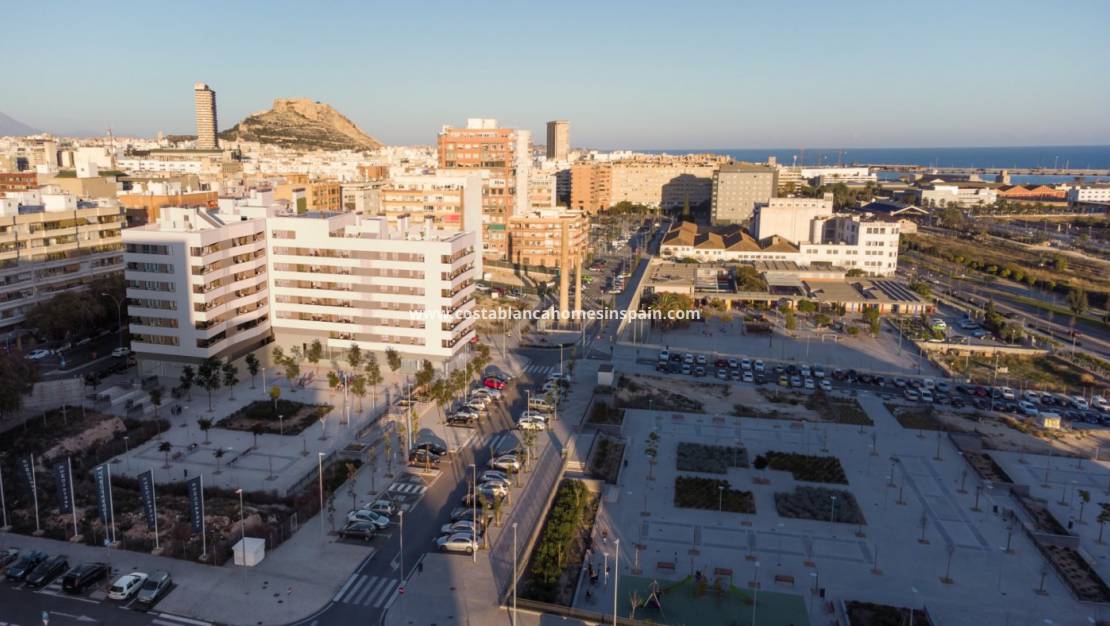 Nýbygging - Apartment - Alicante - Benalua