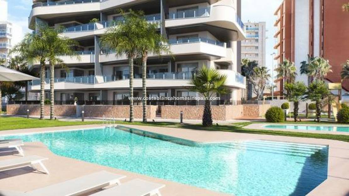 Nýbygging - Apartment - Guardamar del Segura - PUERTO