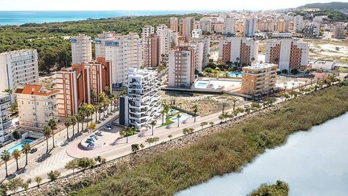 Nýbygging - Apartment - Guardamar del Segura - PUERTO