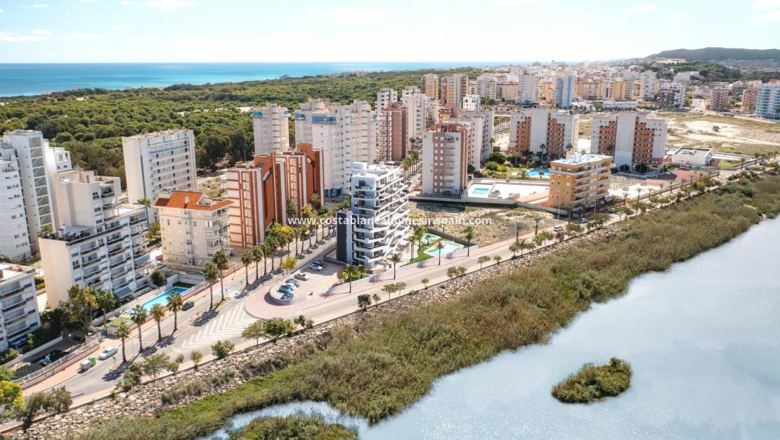 Nýbygging - Apartment - Guardamar del Segura - PUERTO