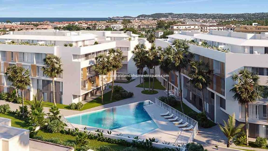 Nýbygging - Apartment - Jávea Xàbia - centro