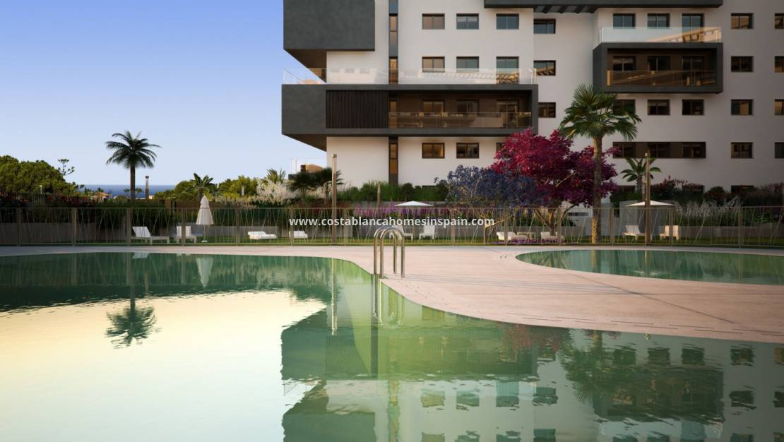 Nýbygging - Apartment - Orihuela Costa - Campoamor
