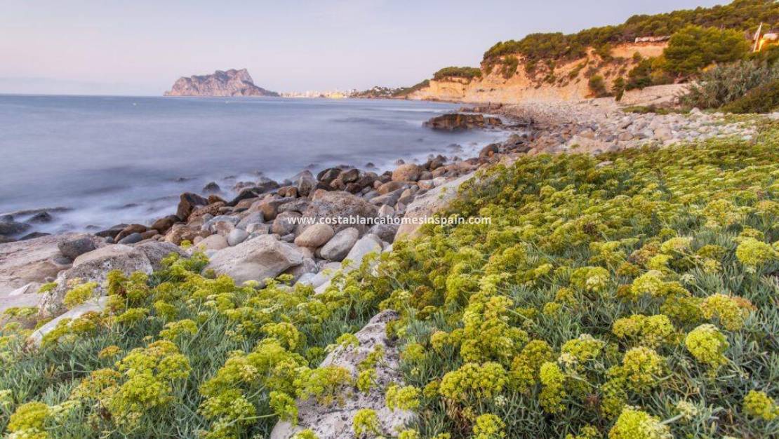 Nýbygging -  - Benissa - Cala Advocat