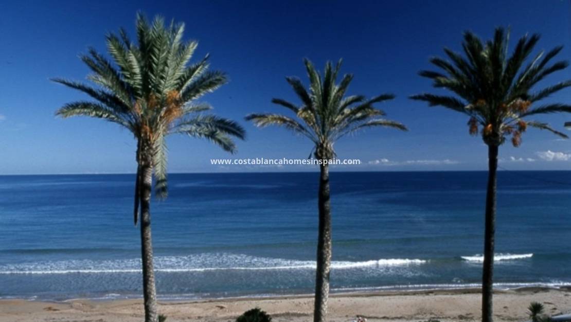 Nýbygging - Bungalow - Pilar de la Horadada - Parque Ramon eugenio Escudero