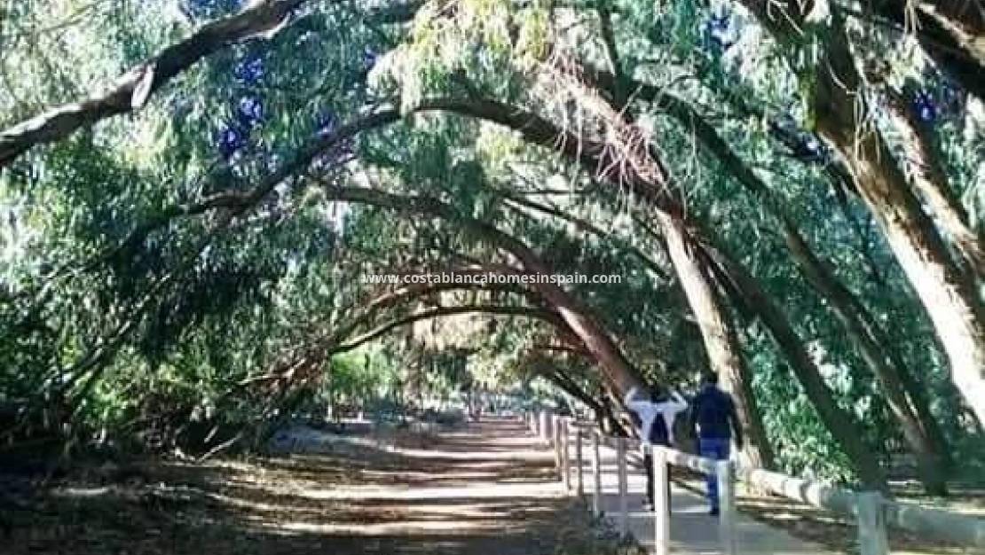 Nýbygging - Bungalow - Torrevieja - Altos del Sol